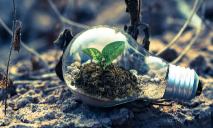 The Environmental Impact of Technology: Can Innovation Save the Planet?