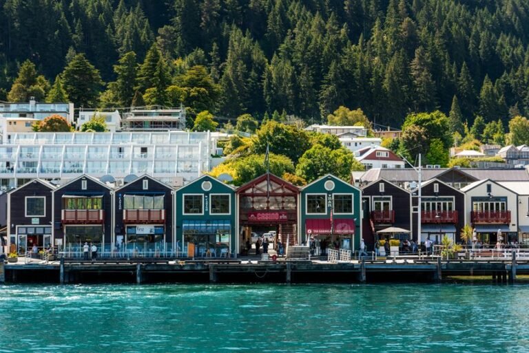 commercial insight architecture brief