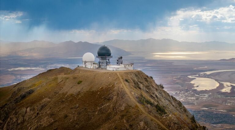 strategic commercial signal analysis