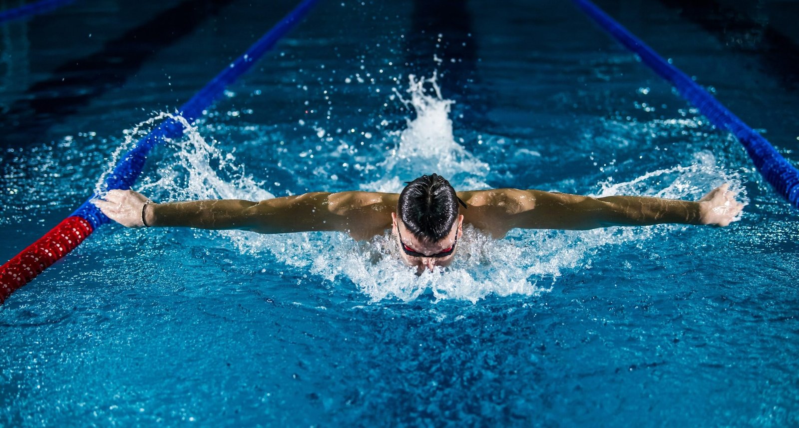 Journey into Excellence within the World of Programming